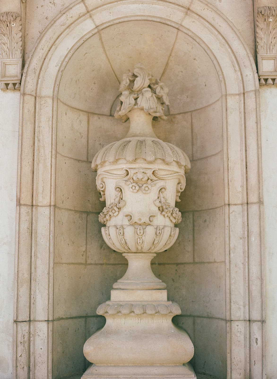 Garden view near the venue